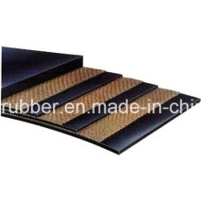 Nylon Conveyor Belt with Greater Speed and Light Weight Made in China